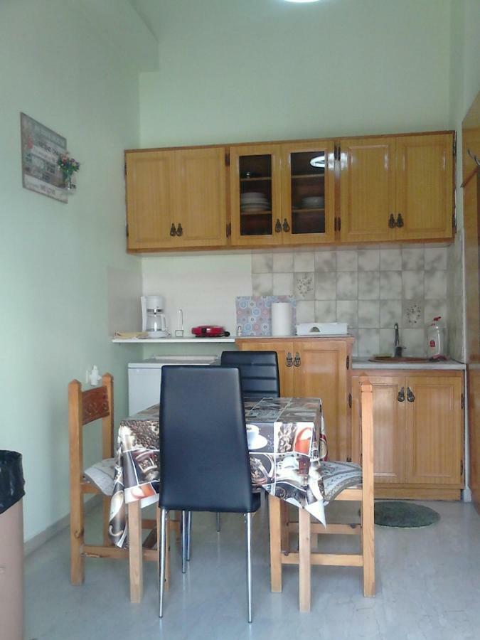 Vasiliki'S Apartment Kalambaka Zewnętrze zdjęcie